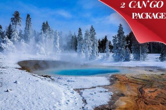 Yellowstone & Grand Teton National Parks Winter Tour: Small Group 4-Day Tour