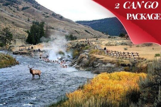 Yellowstone & Grand Teton National Parks: Small Group 6-Day Tour