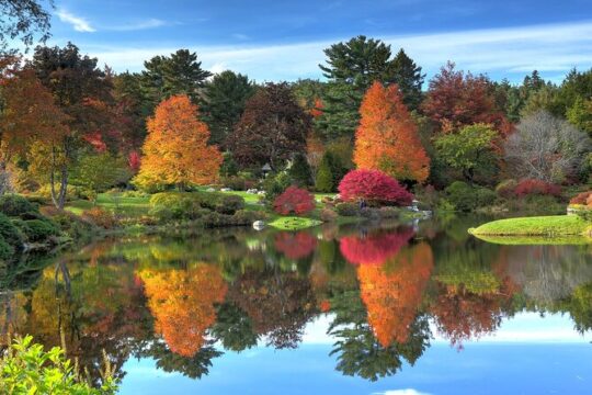 Acadia National Park & Bar Harbor Self-Guided Driving & Walking Tour