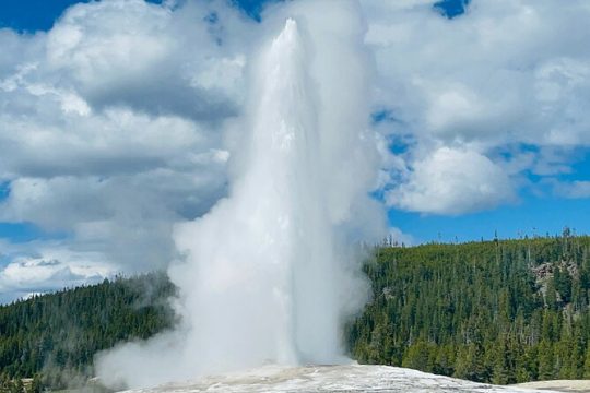 Yellowstone & Grand Teton 4 Day Private Tour with free HD Photos