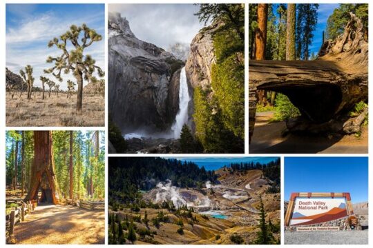 30+ National Park Tours.