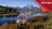 Incredible 5-day tour exploring Yellowstone and Grand Teton