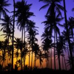 Groups